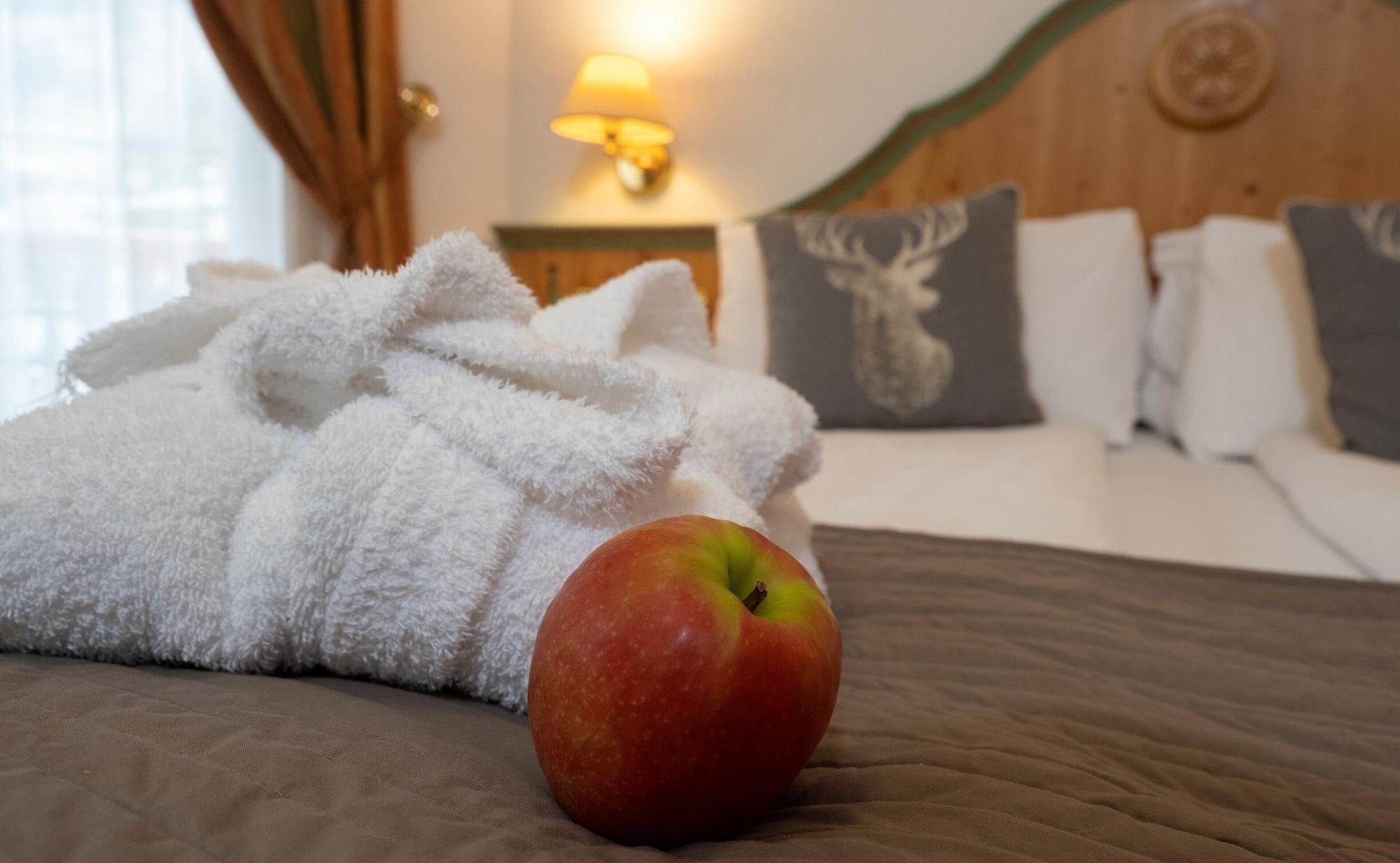 Hotel Soreghes Gran Chalet Campitello di Fassa Luaran gambar